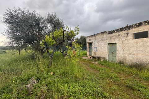 Farm hus i Ostuni, Brindisi, Ostuni - € 35.000 | Ref: 172887 - foto 2